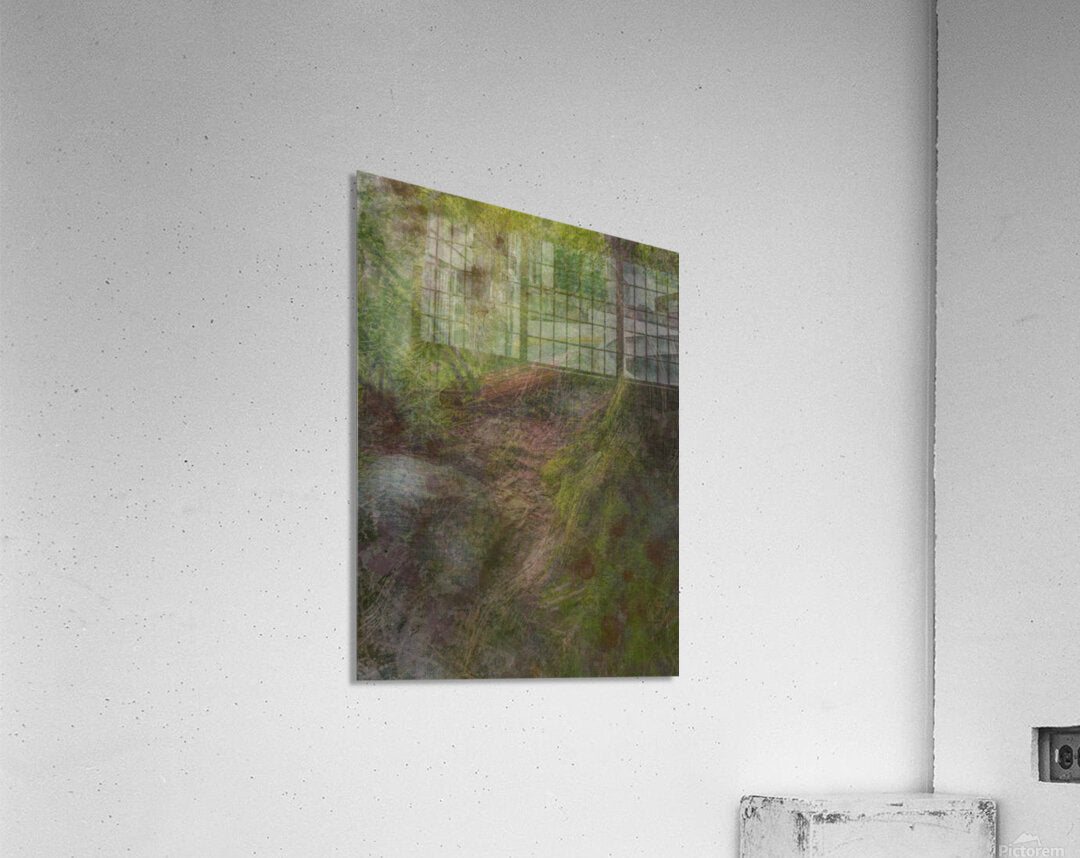 2443089 :: Acrylic Print