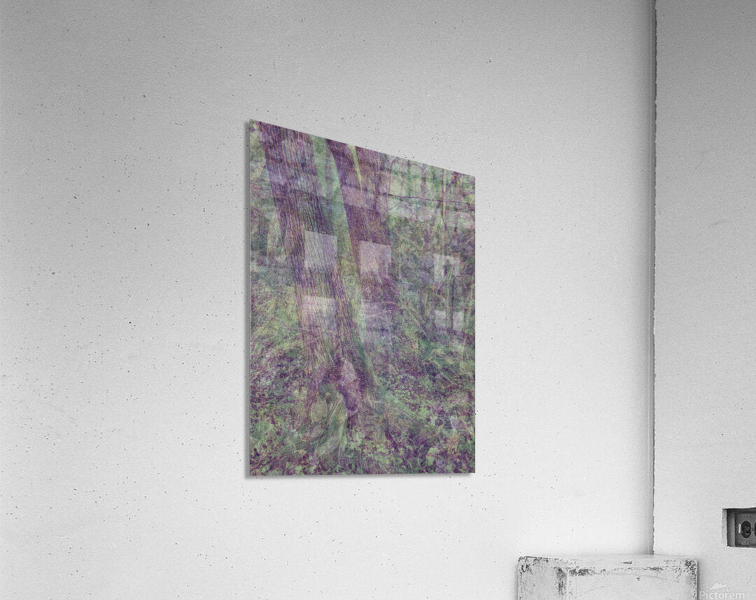 2443095 :: Acrylic Print