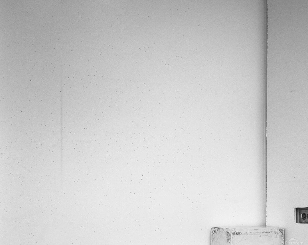 2443096 :: Acrylic Print