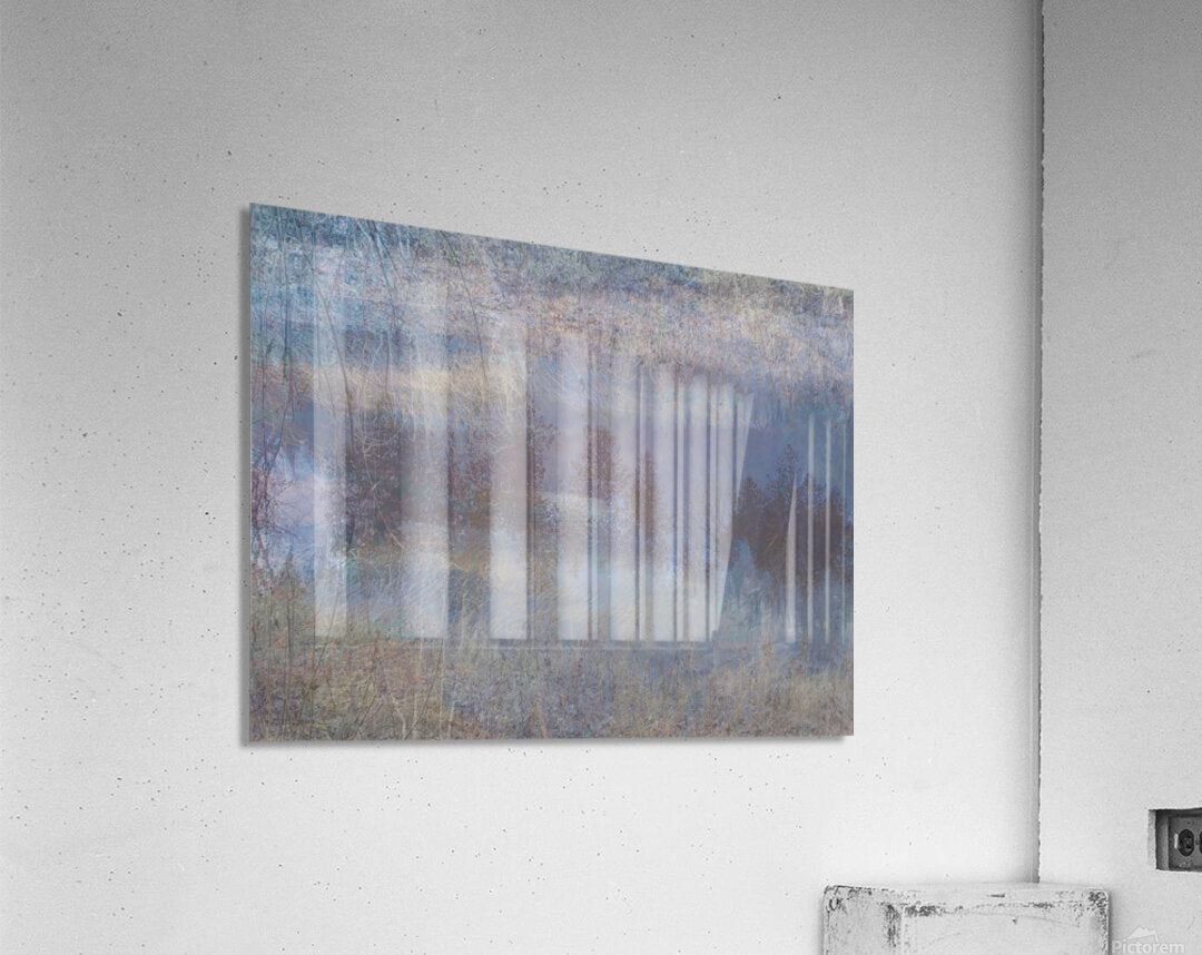 2443098 :: Acrylic Print