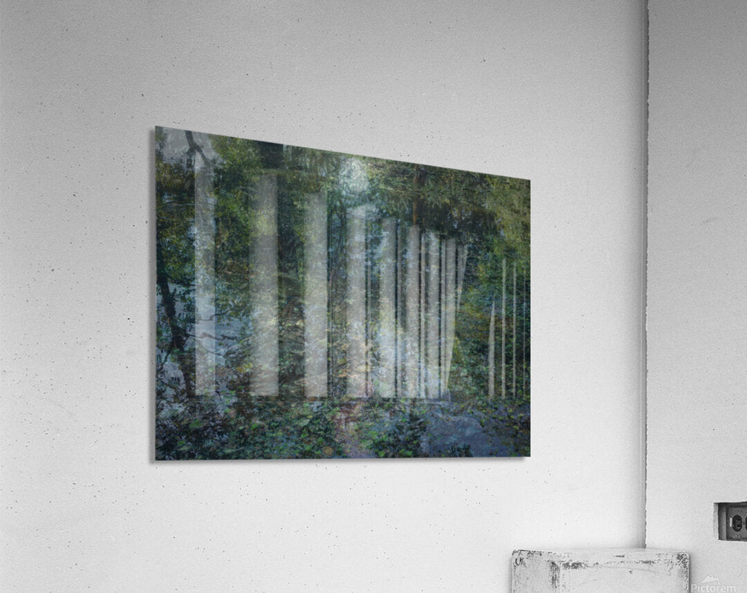2443100 :: Acrylic Print