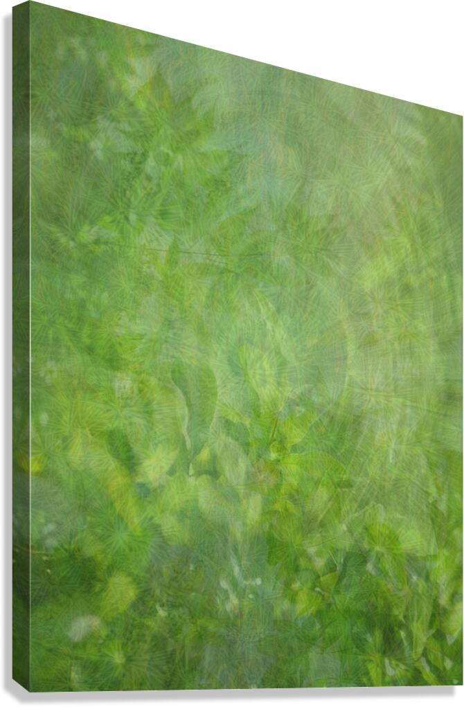 Giclée Stretched Canvas Print