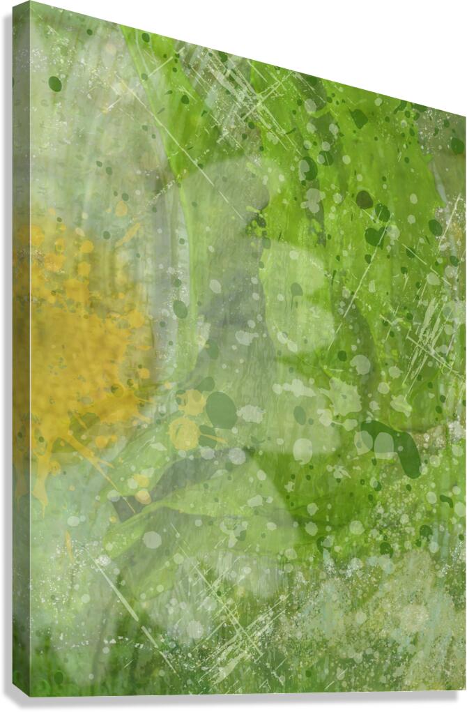 Giclée Stretched Canvas Print