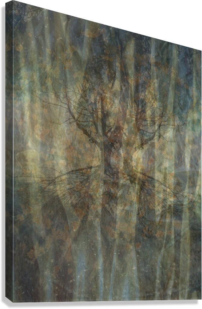 Enchanted Forest
