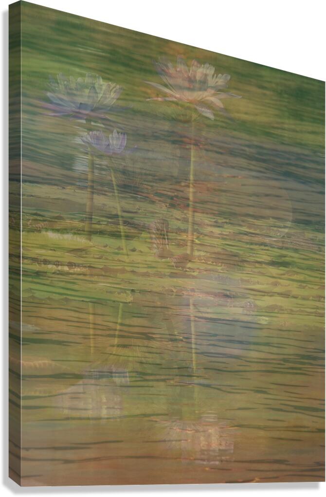 Tranquil Reflections