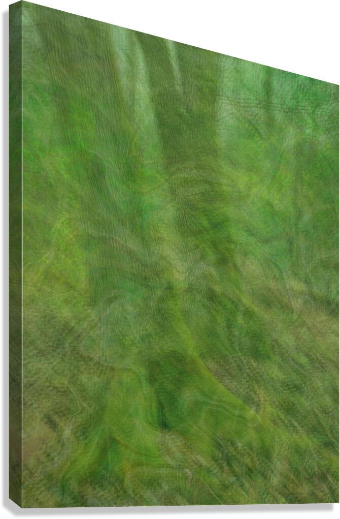 2328539 :: Giclée Stretched Canvas Print