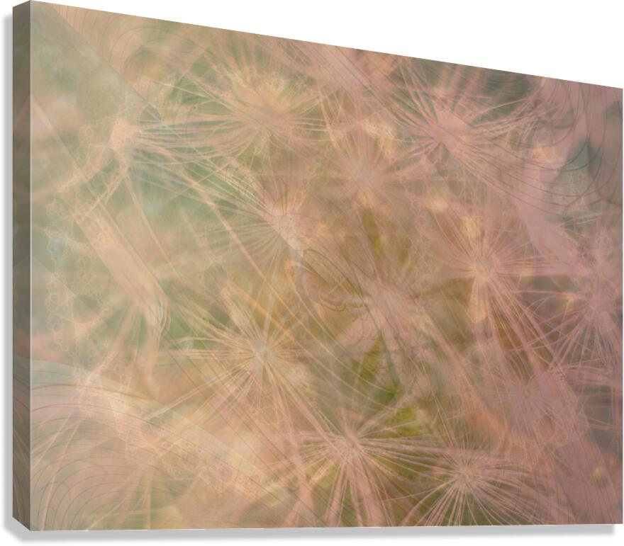 2332667 :: Giclée Stretched Canvas Print