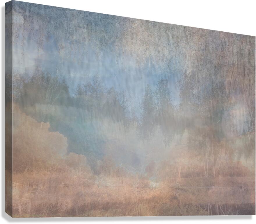 2443093 :: Giclée Stretched Canvas Print