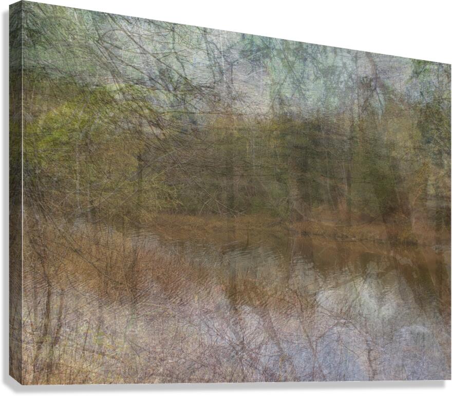 2443096 :: Giclée Stretched Canvas Print