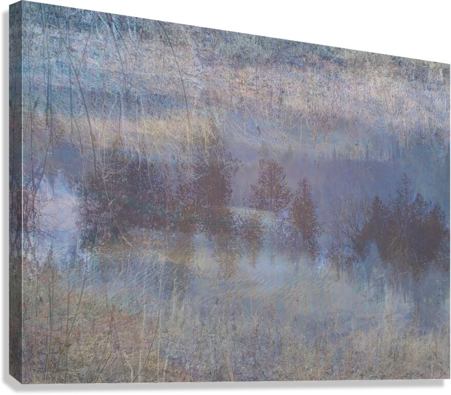 2443098 :: Giclée Stretched Canvas Print
