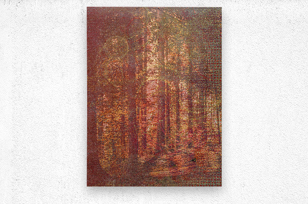Autumn Warmth
