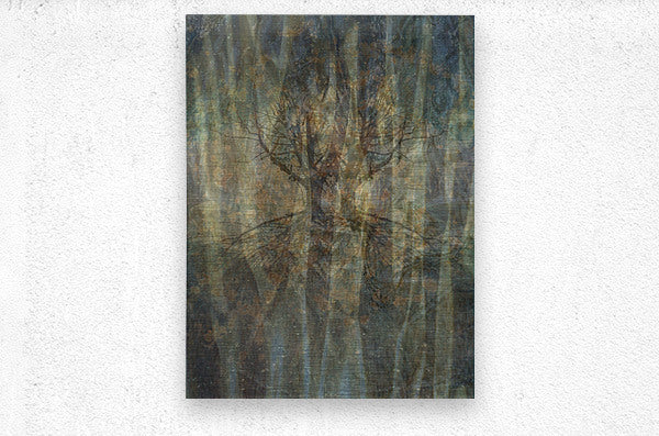 Enchanted Forest