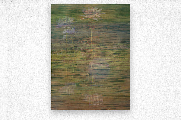 Tranquil Reflections
