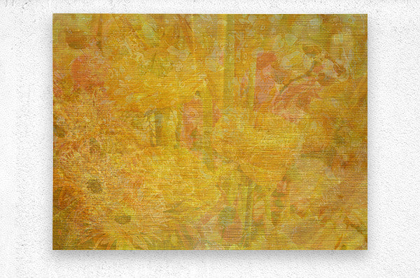 Field Of Wonder