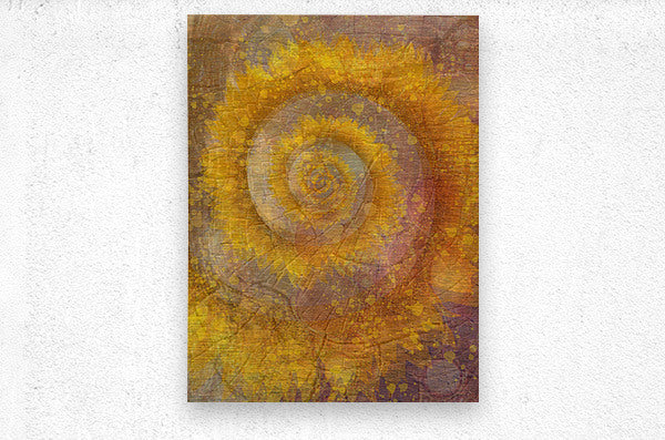 Spirals Of Time