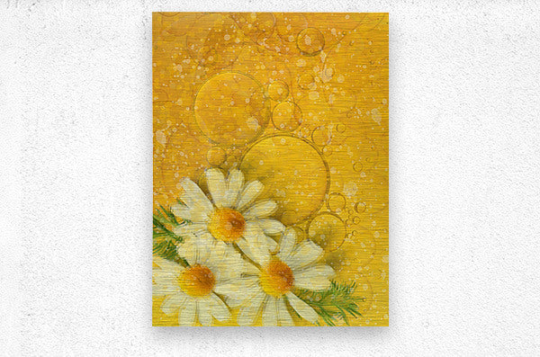Fluid Daisies