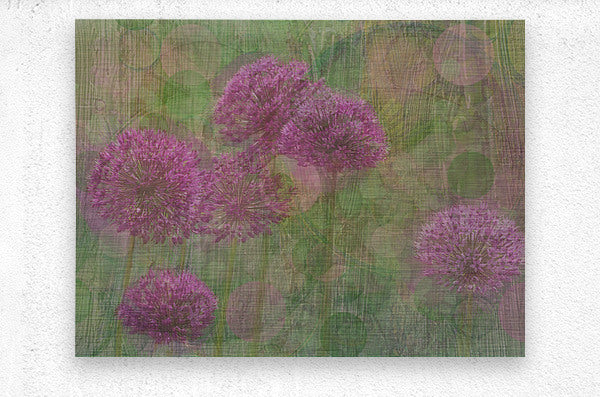 Whimsical Alliums