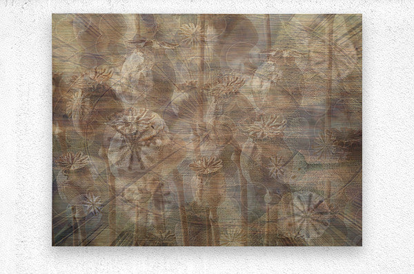 Natures Echoes