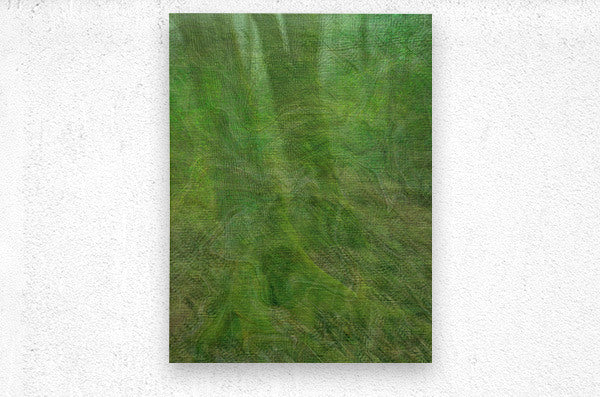 2328539 :: Brushed Metal Print