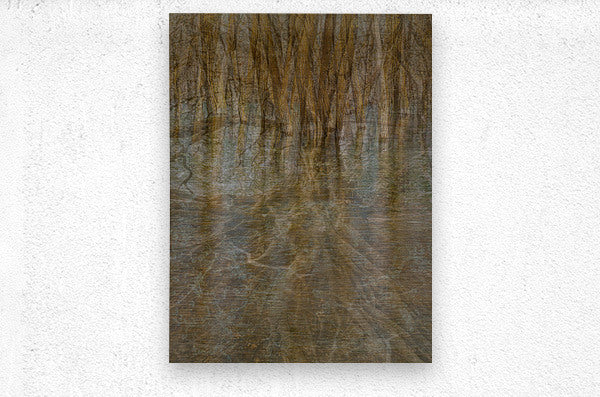 2443101 :: Brushed Metal Print