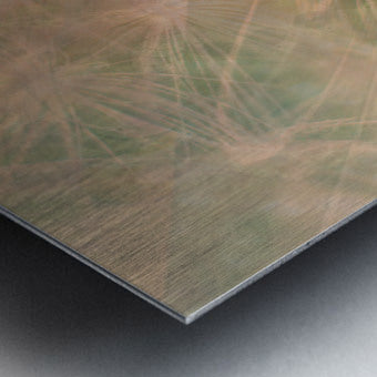2332667 :: Brushed Metal Print