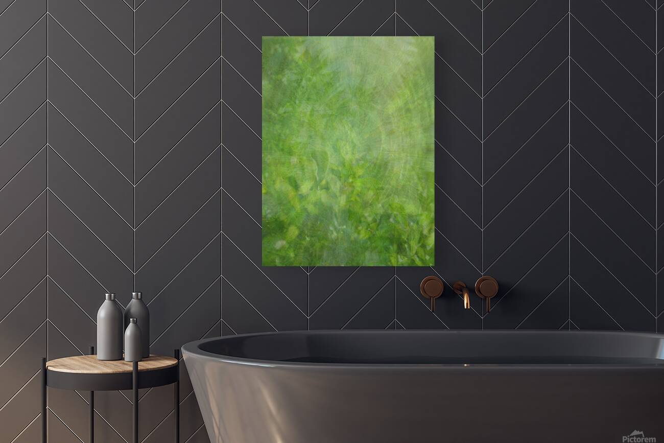 Giclée Stretched Canvas Print