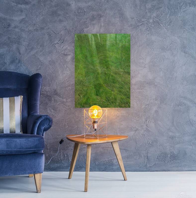 2328539 :: Giclée Stretched Canvas Print