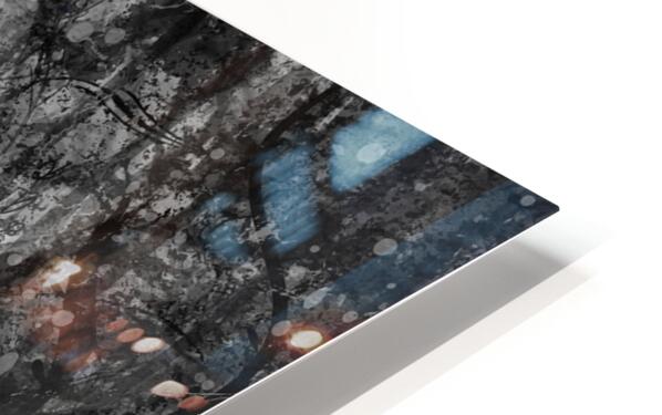 HD Sublimation Metal Print