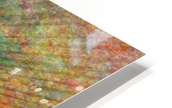 2332647 :: HD Sublimation Metal Print