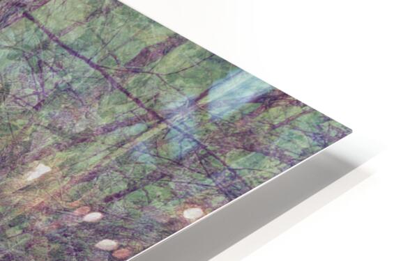 2443095 :: HD Sublimation Metal Print