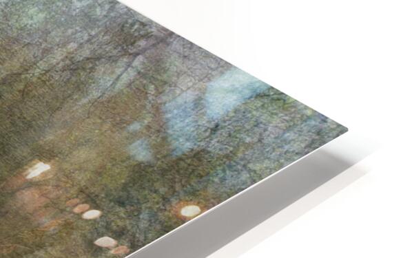 2443096 :: HD Sublimation Metal Print