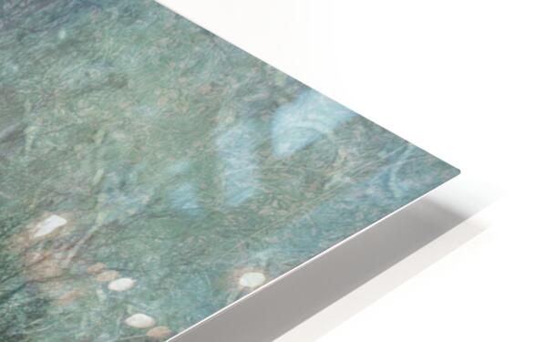 2443097 :: HD Sublimation Metal Print