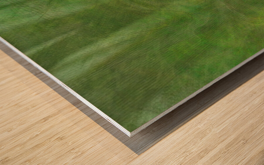 2328539 :: Wood Print