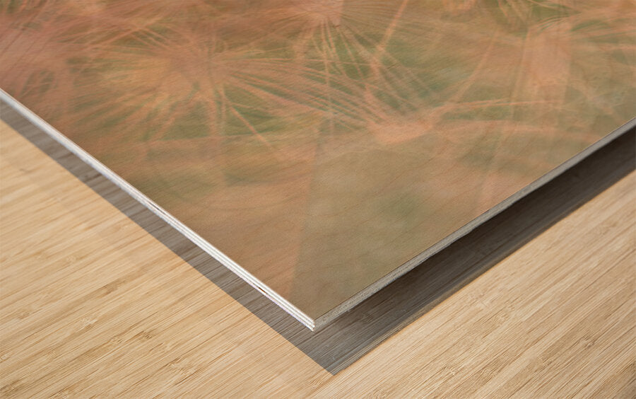 2332667 :: Wood Print
