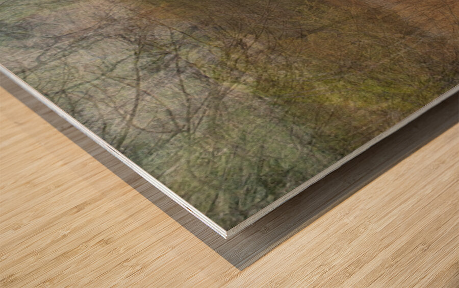 2443096 :: Wood Print