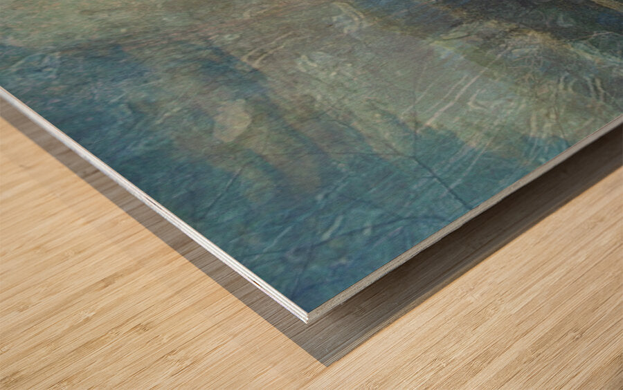 2443097 :: Wood Print