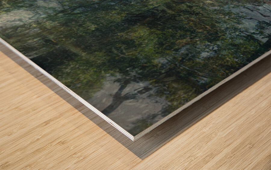 2443100 :: Wood Print