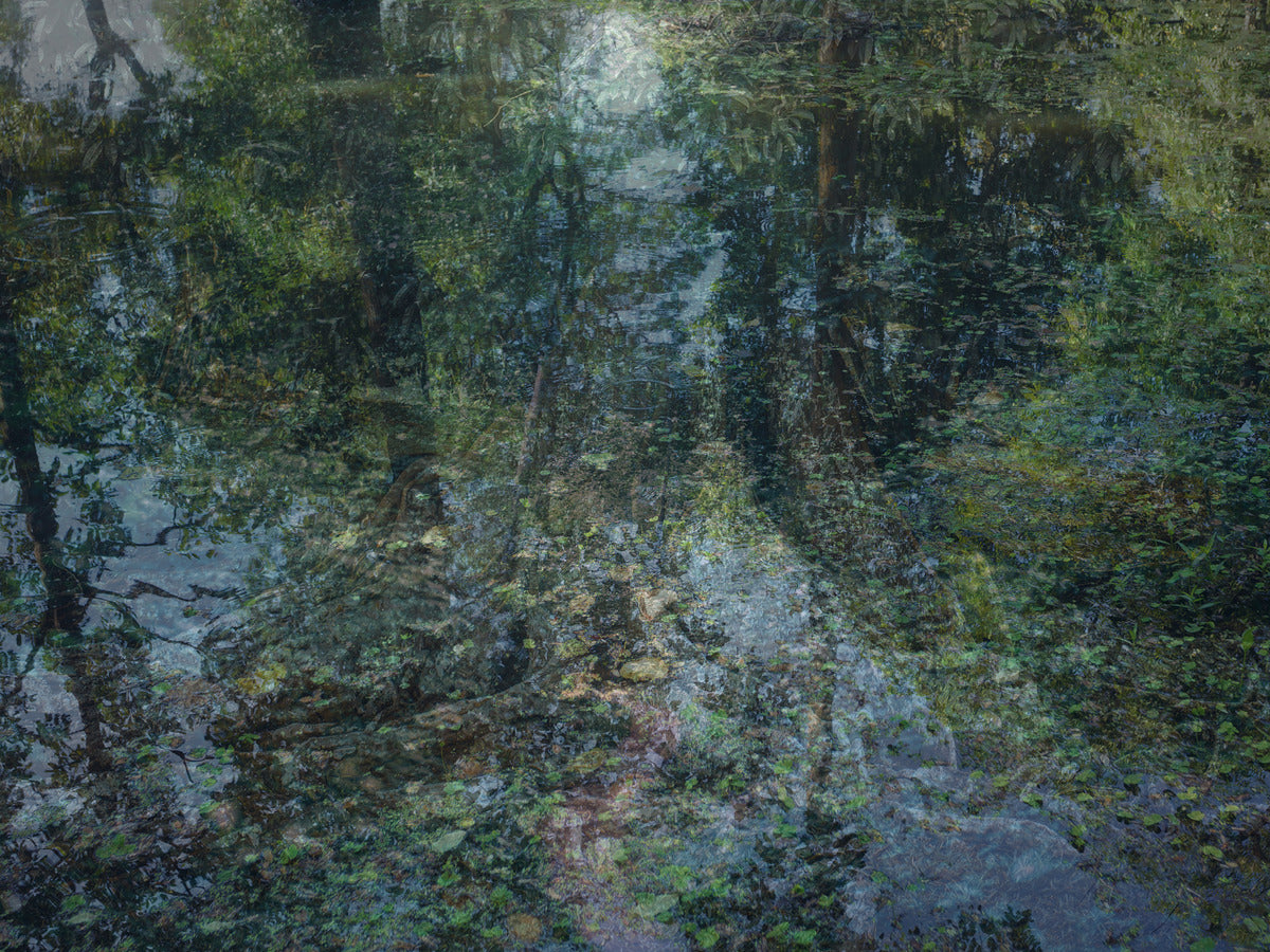 2443100 :: Giclée Fine Art Matte Paper Print