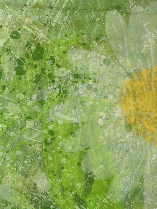 Mirrored Growth2