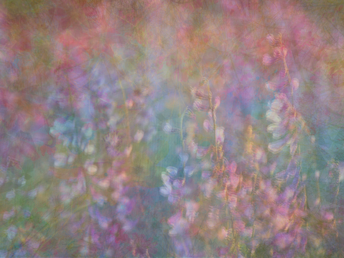 Blurred Blossoms