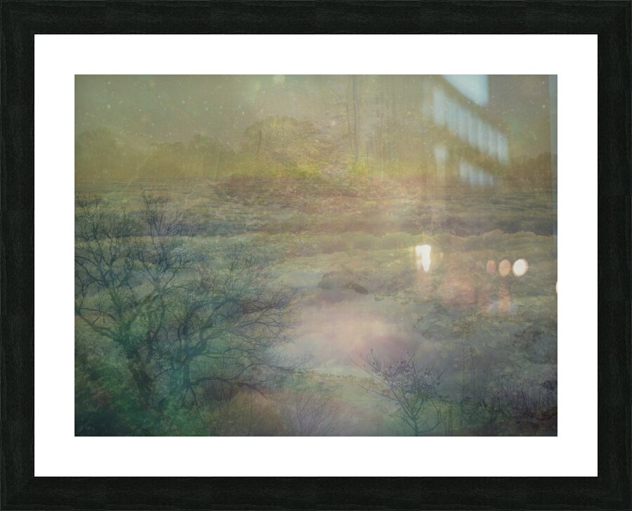 Framed Print