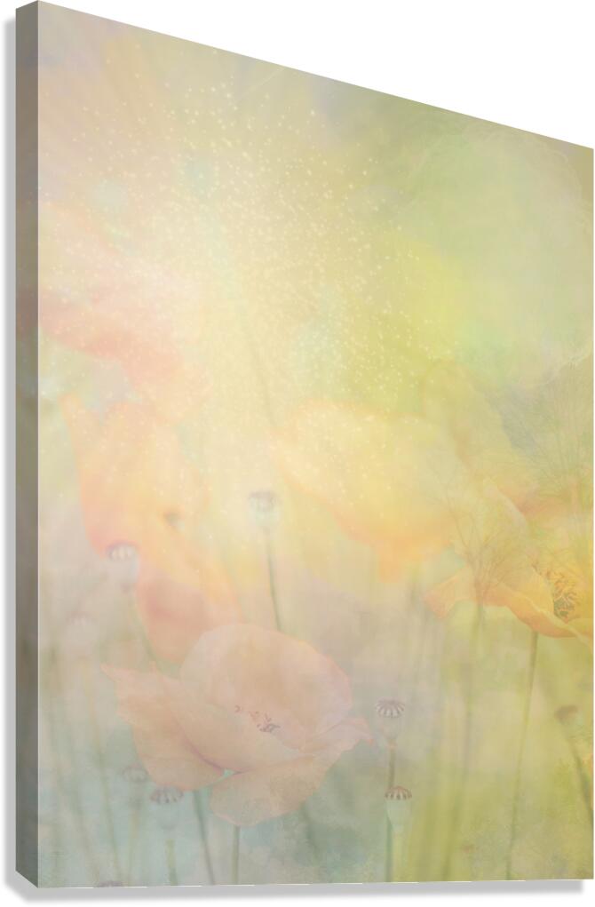 Giclée Stretched Canvas Print