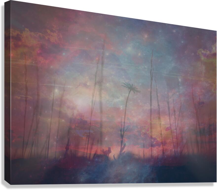 Giclée Stretched Canvas Print