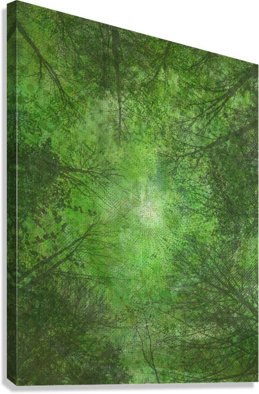 2328538 :: Giclée Stretched Canvas Print