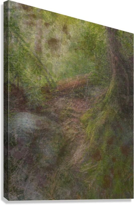 2443089 :: Giclée Stretched Canvas Print