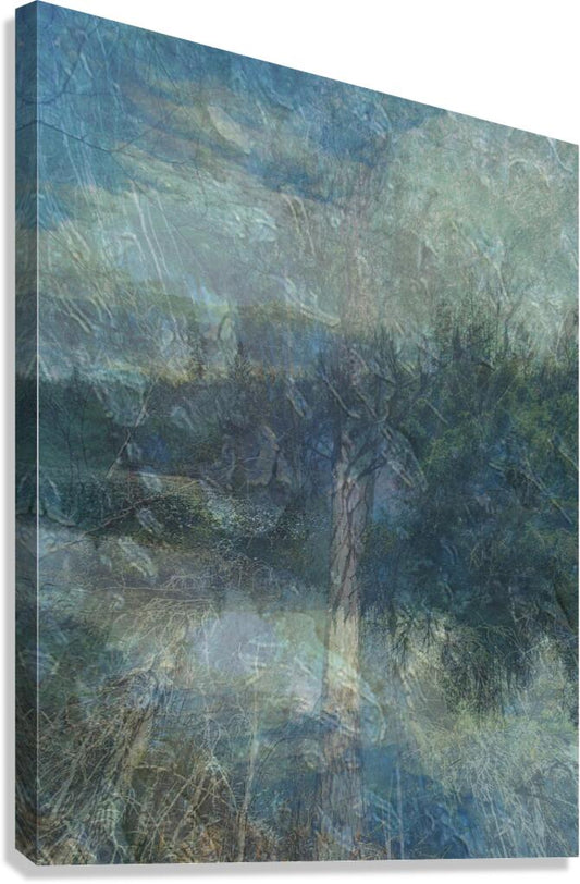 2443097 :: Giclée Stretched Canvas Print