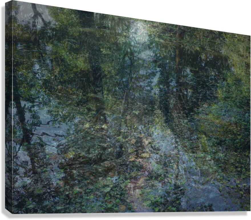 2443100 :: Giclée Stretched Canvas Print