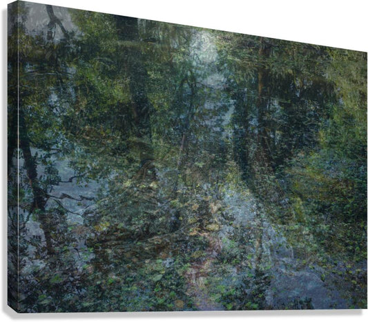 2443100 :: Giclée Stretched Canvas Print