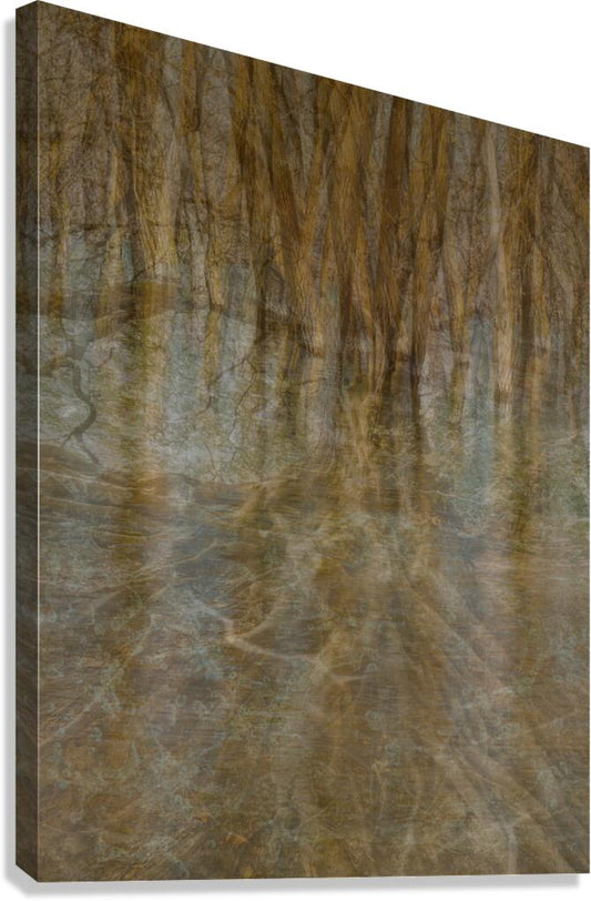 2443101 :: Giclée Stretched Canvas Print