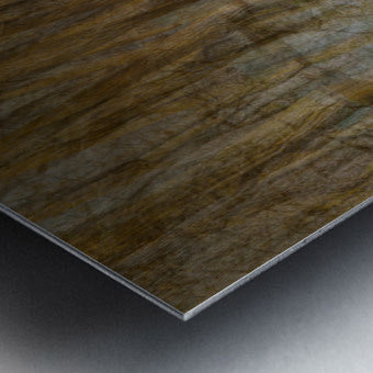 2443101 :: Brushed Metal Print